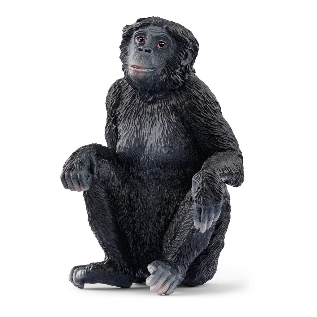 Schleich 14875 Bonobo Female - TOYBOX Toy Shop