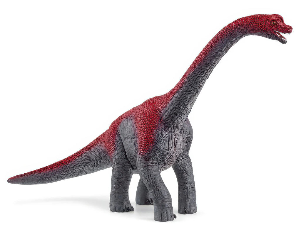 SCHLEICH 15044 Brachiosaurus Figure - TOYBOX Toy Shop