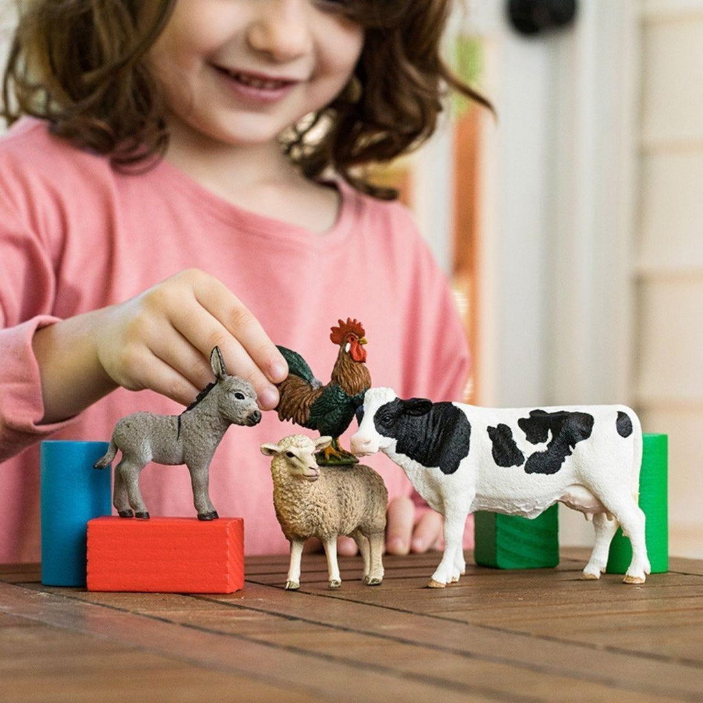 Schleich 42385 Farm World Starter Set - TOYBOX Toy Shop