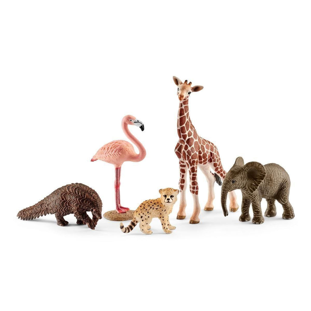 Schleich 42388 Assorted Wild Life Animals Figures - TOYBOX Toy Shop