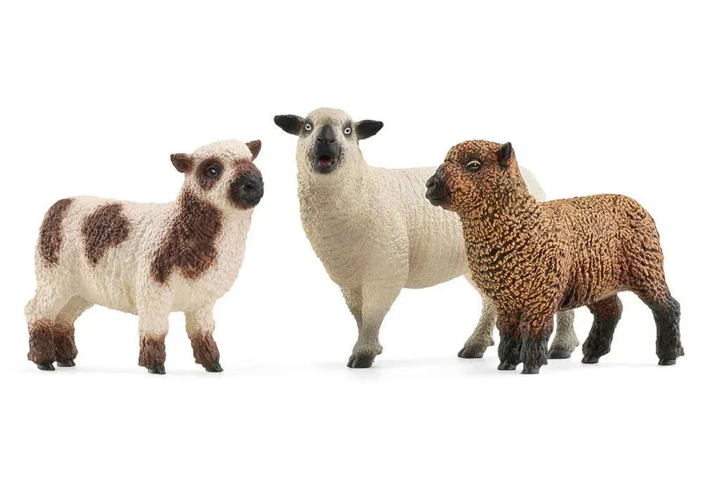 Schleich 42660 Sheep Friends Figures - TOYBOX Toy Shop