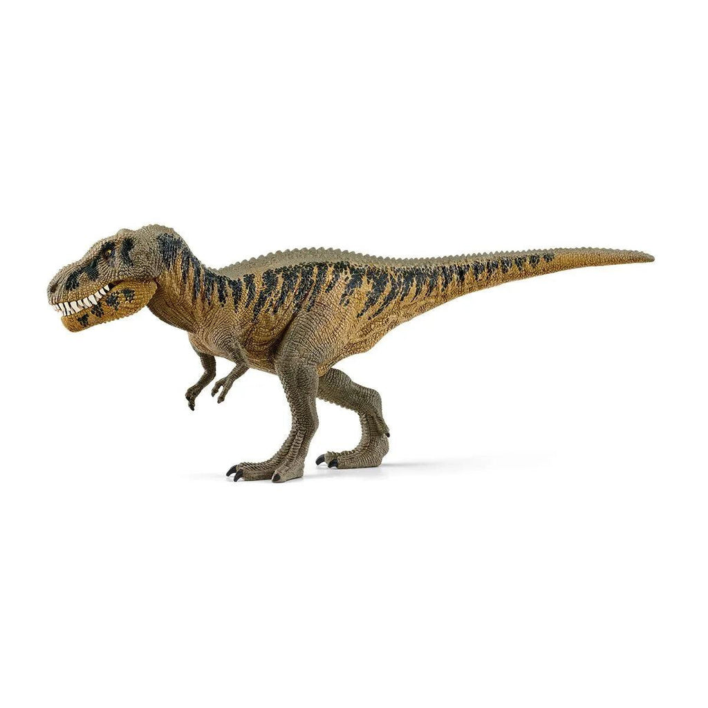 SCHLEICH Tarbosaurus Dinosaur Figure - TOYBOX Toy Shop
