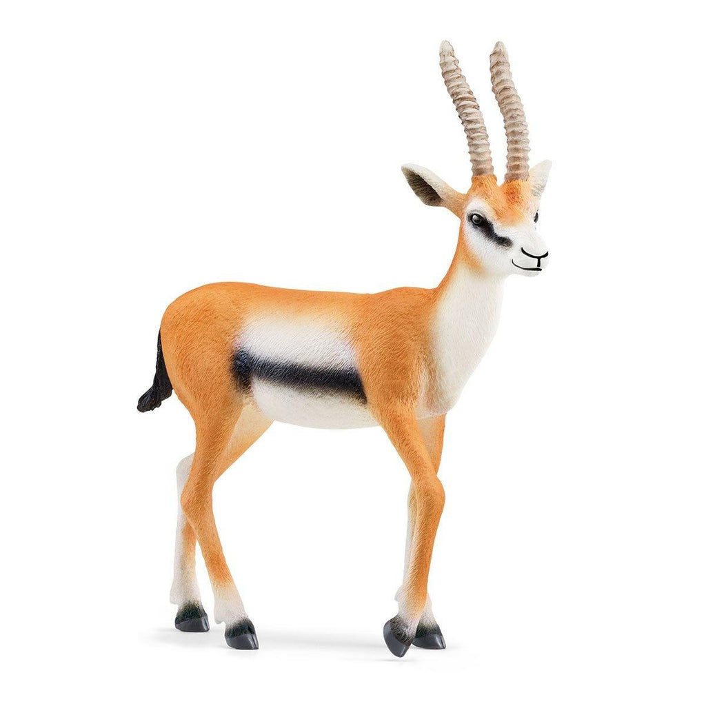 SCHLEICH Thomson Gazelle Figure - TOYBOX Toy Shop