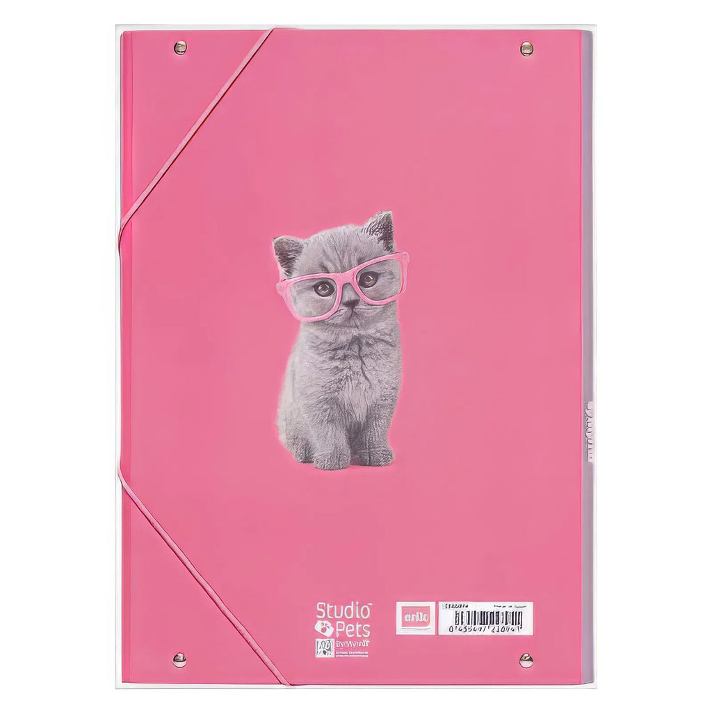 Studio Pets Cats A4 Elastic Folder