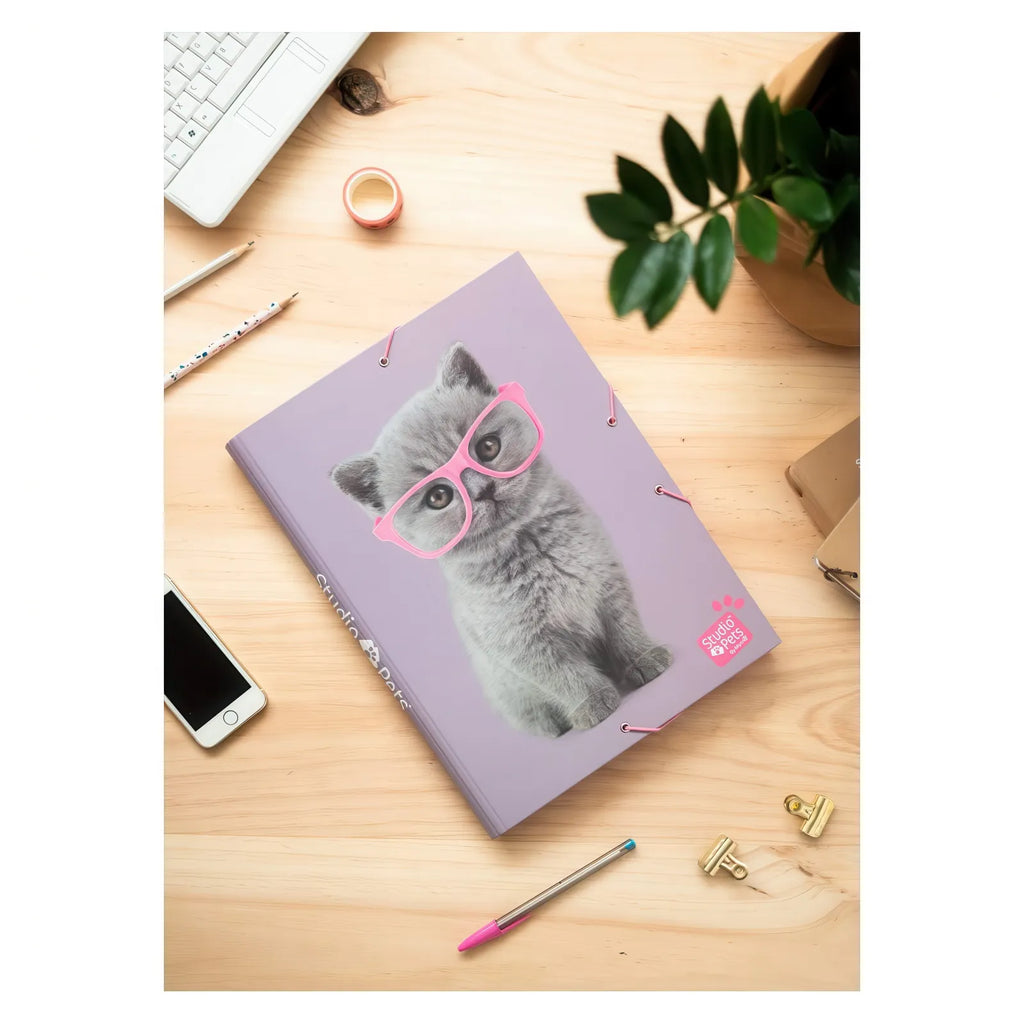 Studio Pets Cats A4 Elastic Folder