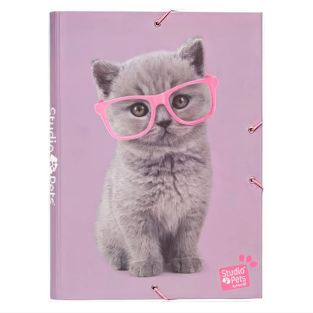 Studio Pets Cats A4 Elastic Folder