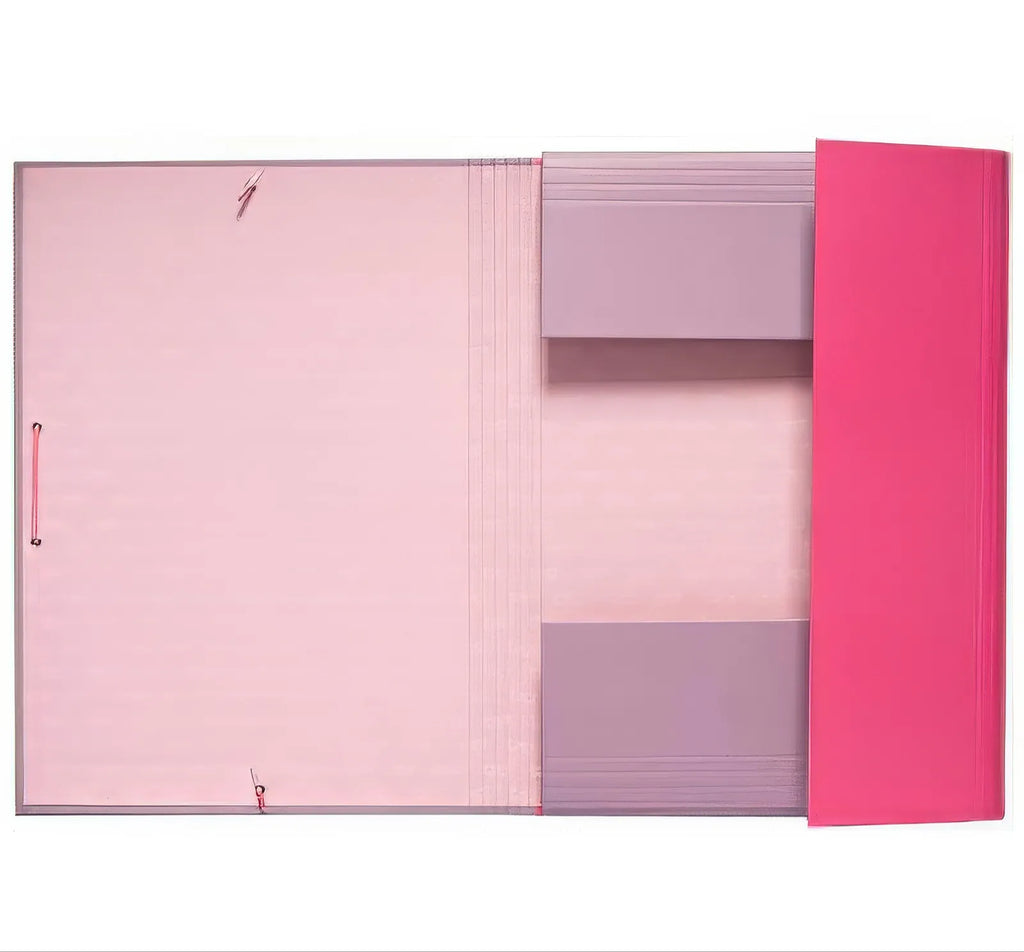 Studio Pets Cats A4 Elastic Folder