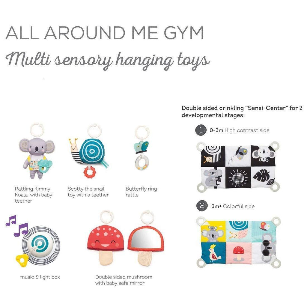 Taf Toys 4 in 1 Music and Light All Around Me Gym - TOYBOX Toy Shop