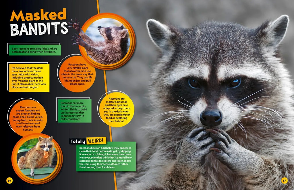 Weird But True! 2025: Wild and Wacky Facts & Photos! By National Geographic Kids