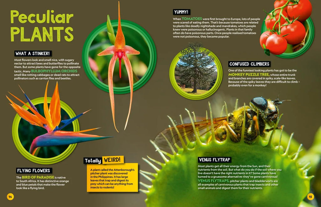 Weird But True! 2025: Wild and Wacky Facts & Photos! By National Geographic Kids