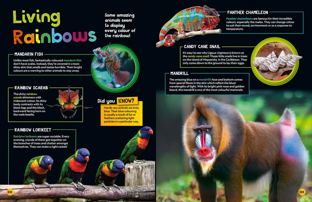 Weird But True! 2025: Wild and Wacky Facts & Photos! By National Geographic Kids