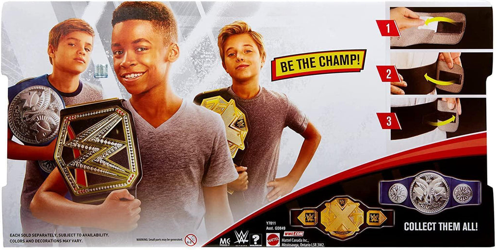 WWE Championship Title Belt - Assorted - TOYBOX Toy Shop